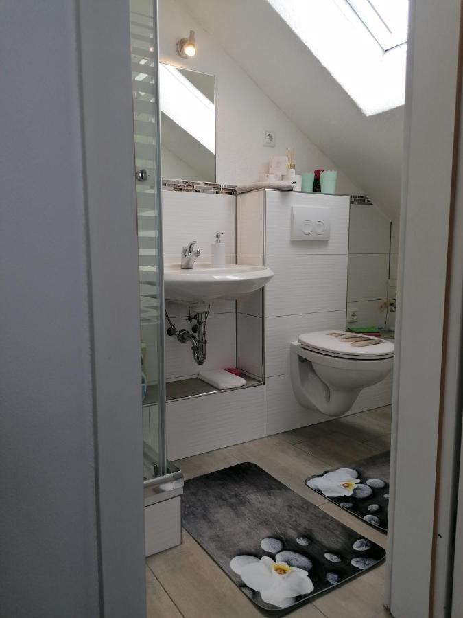 Apartment An Der Schweizer Grenze لاوفنبورغ المظهر الخارجي الصورة