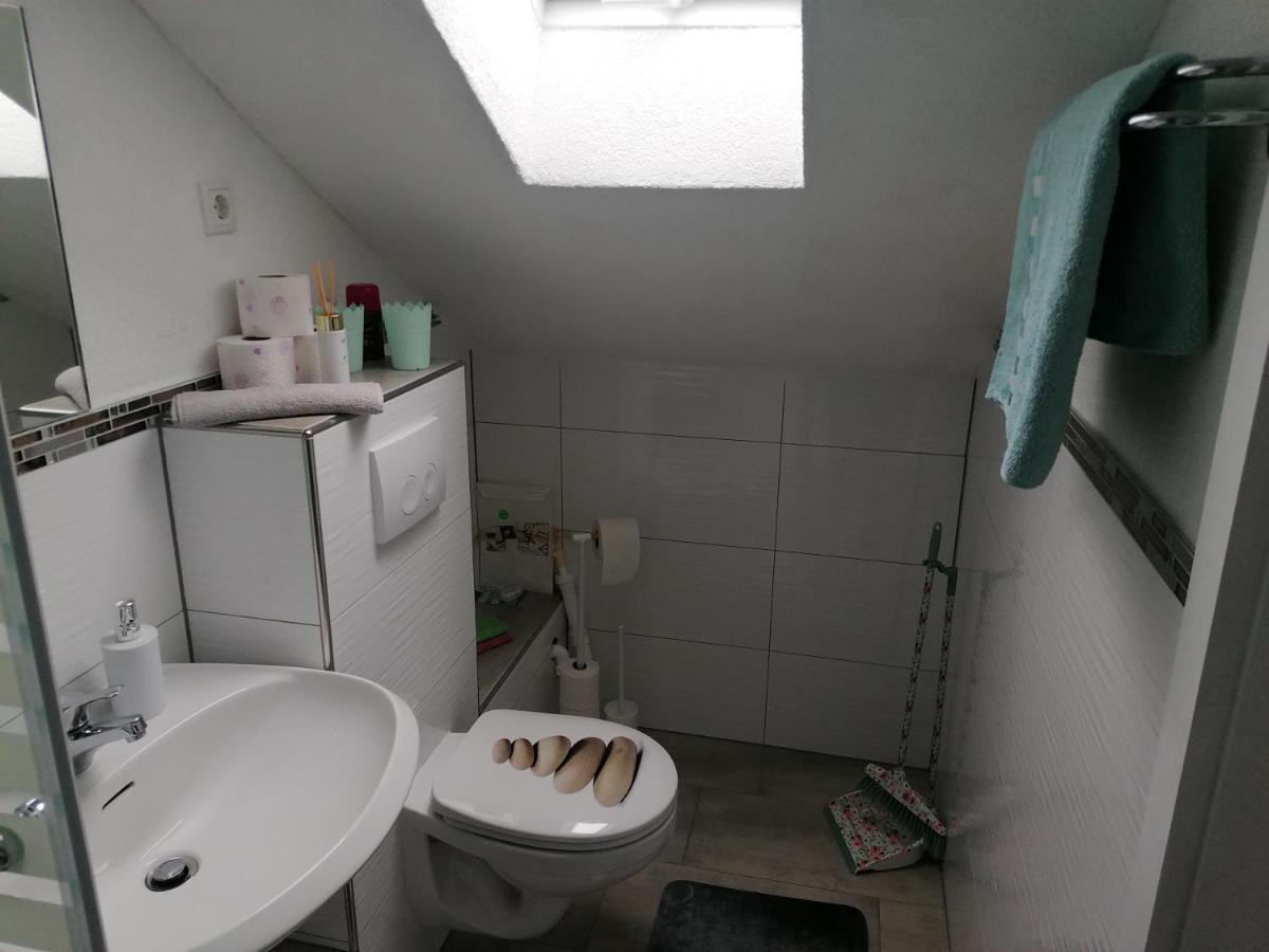 Apartment An Der Schweizer Grenze لاوفنبورغ المظهر الخارجي الصورة