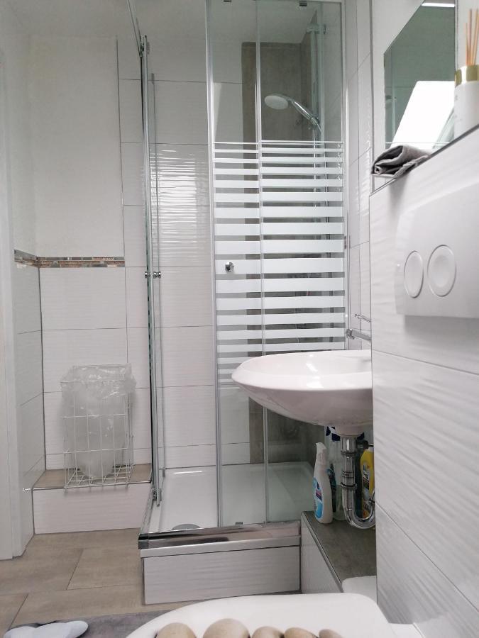 Apartment An Der Schweizer Grenze لاوفنبورغ المظهر الخارجي الصورة