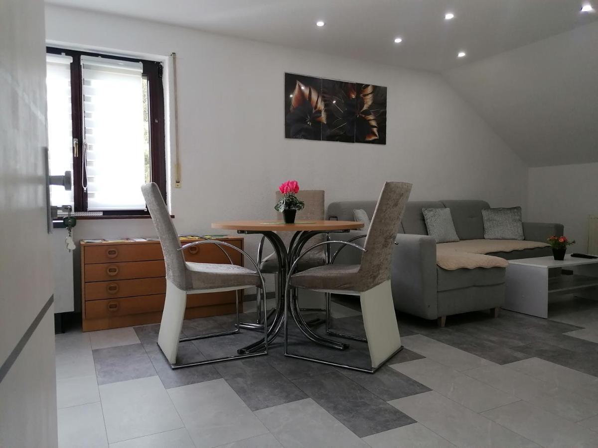 Apartment An Der Schweizer Grenze لاوفنبورغ المظهر الخارجي الصورة