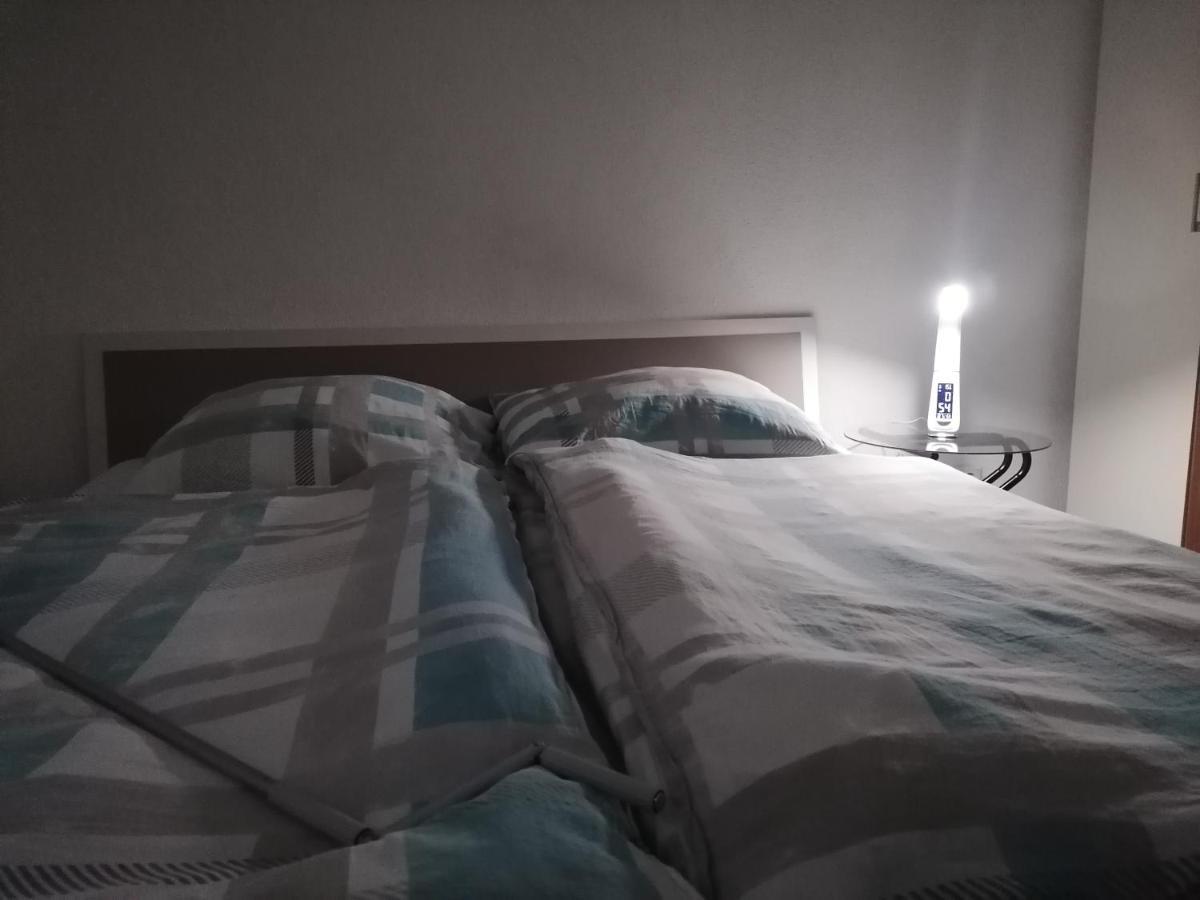 Apartment An Der Schweizer Grenze لاوفنبورغ المظهر الخارجي الصورة