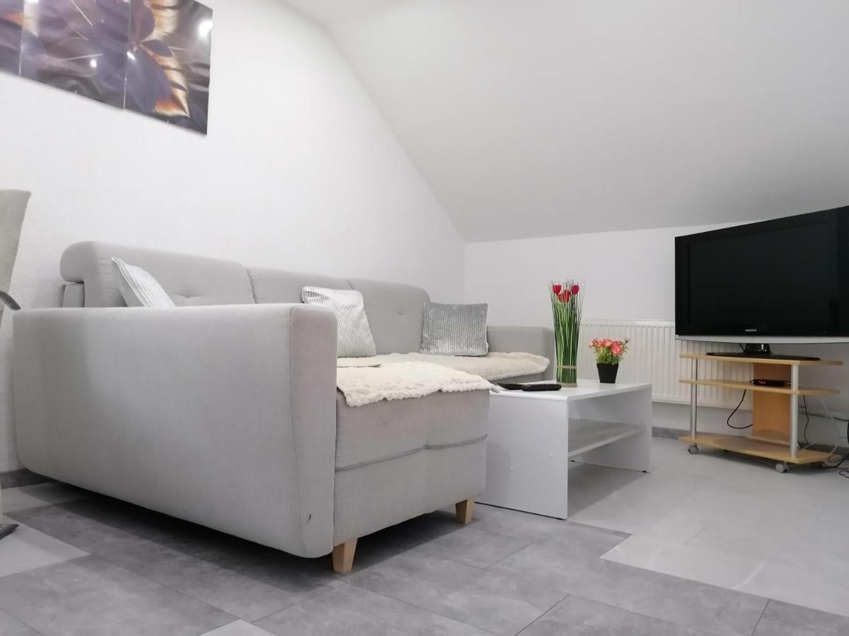 Apartment An Der Schweizer Grenze لاوفنبورغ المظهر الخارجي الصورة