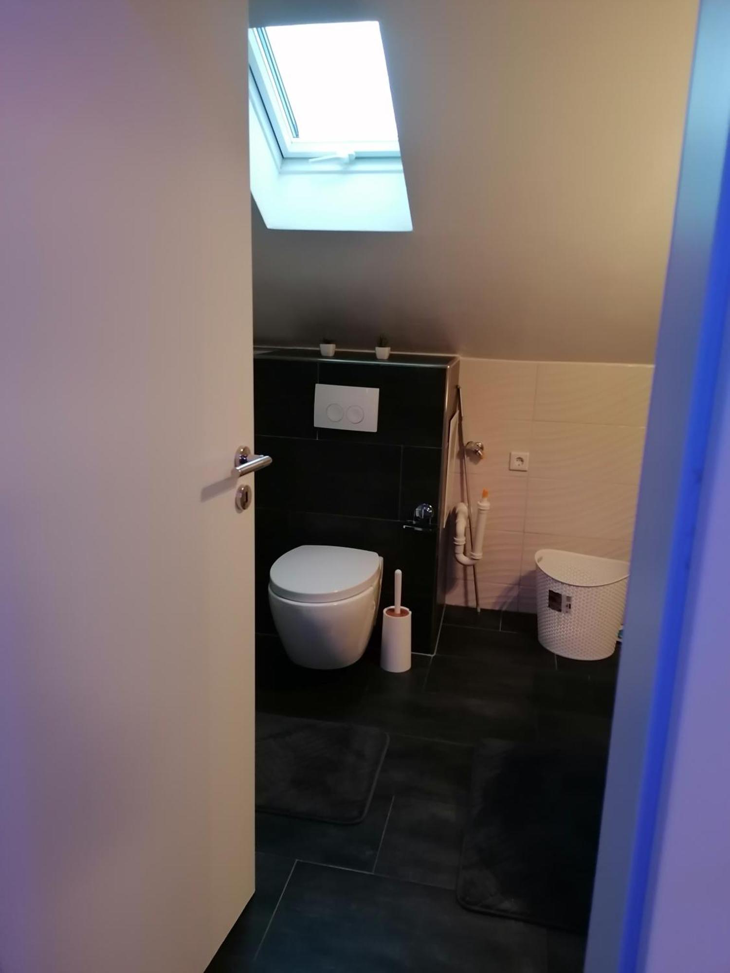 Apartment An Der Schweizer Grenze لاوفنبورغ المظهر الخارجي الصورة
