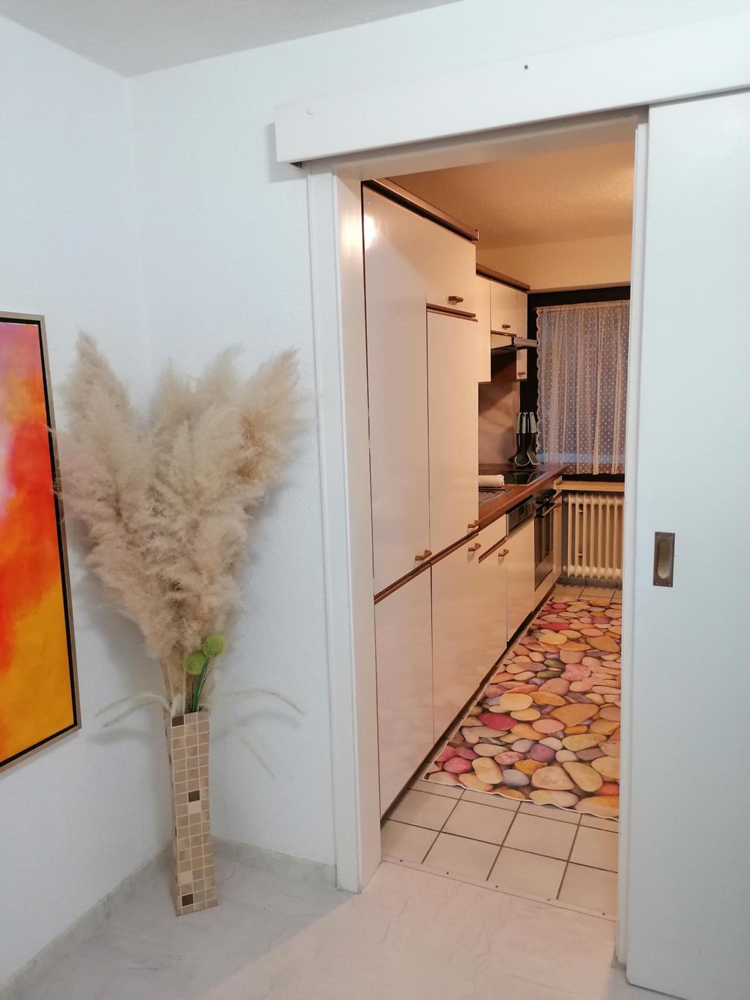 Apartment An Der Schweizer Grenze لاوفنبورغ المظهر الخارجي الصورة